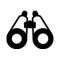 Vīzijas noteikšana