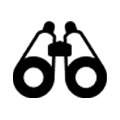 Vīzijas noteikšana